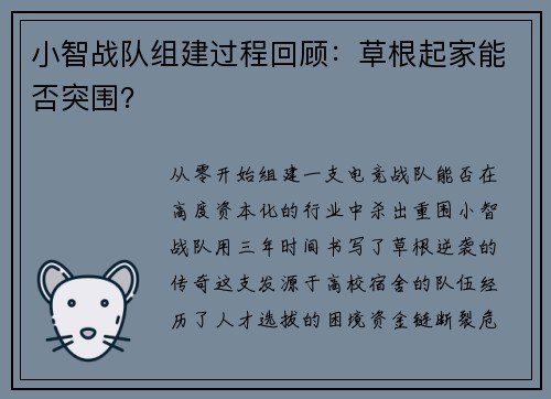 小智战队组建过程回顾：草根起家能否突围？