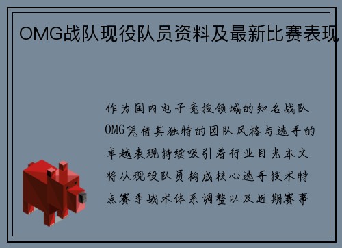OMG战队现役队员资料及最新比赛表现